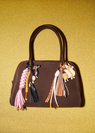 Bowling Bag