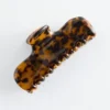 Medium Hair Claw