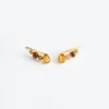 Multi-Stone Ear Crawler