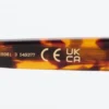 Oval Acetate Sunglasses