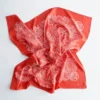 Paisley Silk Scarf